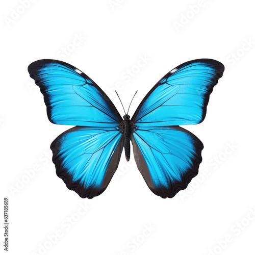 transparent background with solitary blue butterfly