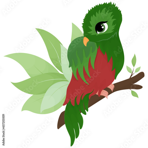 illustration of cartoon Quetzal - quesal, cartoon drawing, vector animal