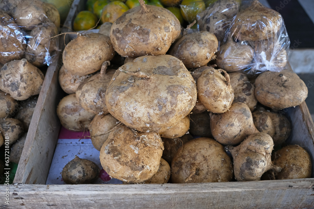 Fresh Jicama or bengkoang, close up.
Fresh Jicama or bengkoang, close up.