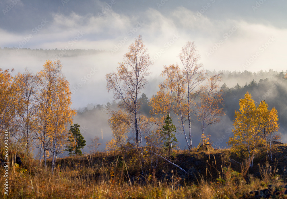 Autumn mountain landscape, forest and fog