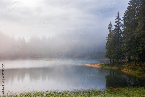 misty morning landscape with lake in fall season. overcast sky above the forest reflecting on the water