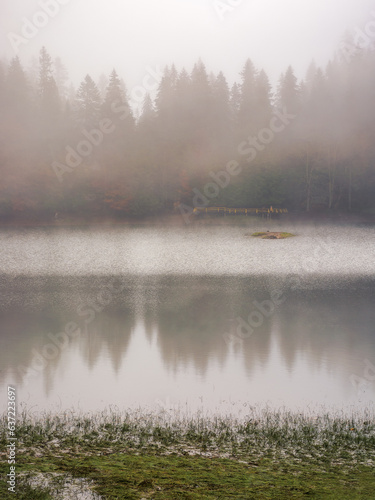misty landscape with lake in fall season. overcast sky above the trees reflecting on the calm water surface
