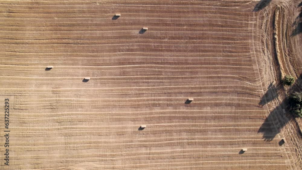 Vertical aerial 4K drone revealing view of a wheat field after the harvest with its disseminated straw bales on a sunny day in Spain Vertical aerial 4K drone revealing view of a wheat field after the harvest with its disseminated straw bales on a sunny day in Spain