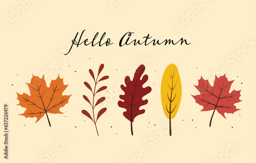 Hello autumn leaves illustration vector background. Vector autumn elements. Perfect for seasonal holidays, Thanksgiving Day.