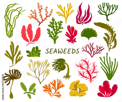Underwater seaweed plants. Cartoon vector aquarium and sea algae, coral reef wildlife nature biodiversity set. Ocean and undersea water life isolated weeds and wracks, laminaria or kelp marine flora