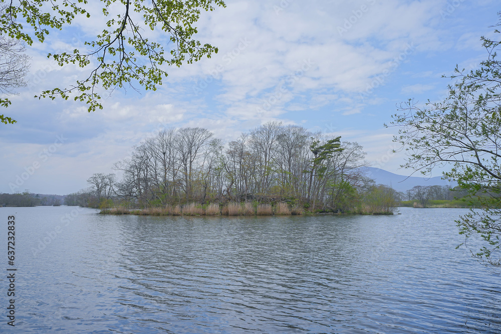 Obraz premium 大沼国定公園