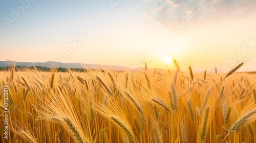 wheat field golden yellow natural background peach morning sky Generative AI illustrations