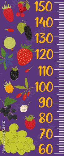 Kids height chart measure ruler forest and garden berries. Vector growth meter, wall sticker for children height measurement with scale, cartoon grape, mulberry, strawberry or cranberry and cloudberry