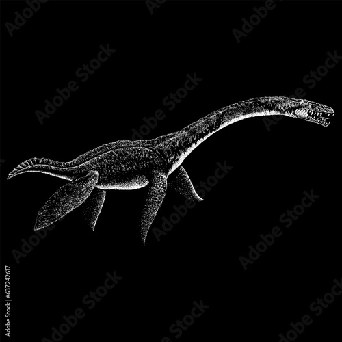Elasmosaurus hand drawing vector isolated on black background. photo