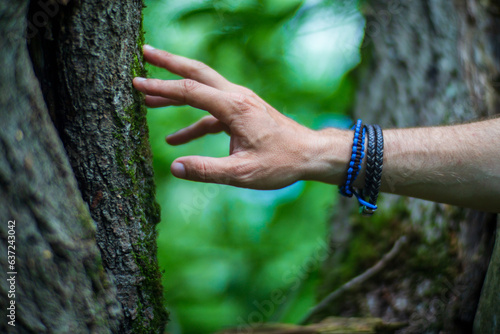 A man's hand touch the tree trunk close-up. Bark wood.Caring for the environment. The ecology concept of saving the world and love nature by human