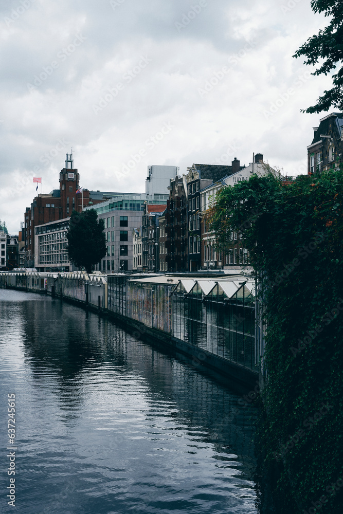 Fototapeta premium The Bloomen Market of Amsterdam.