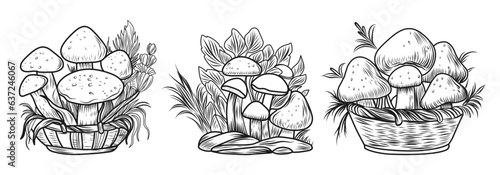 Mushrooms coloring page. Autumn composition linear illustration.Autumn coloring book for children.