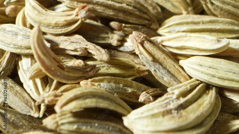 Explore the intricate world of fennel seeds in this macro video. Witness their delicate textures, vibrant hues, and mesmerizing patterns up close. A sensory journey into nature's hidden beauty.
Explore the intricate world of fennel seeds in this macro video. Witness their delicate textures, vibrant hues, and mesmerizing patterns up close. A sensory journey into nature's hidden beauty.