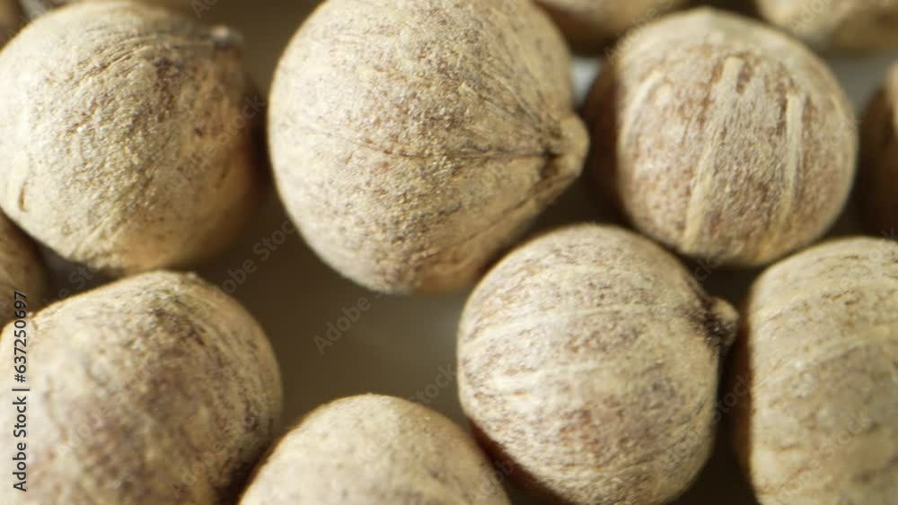 Explore the intricate world of white peppercorns up close with a mesmerizing macro video shot using a probe lens. Delve into their texture and details in stunning detail.
Explore the intricate world of white peppercorns up close with a mesmerizing macro video shot using a probe lens. Delve into their texture and details in stunning detail.