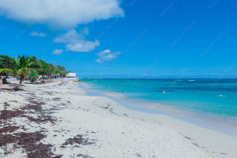 Paradise Guadeloupe beach with the white Sand, Green Palm Trees and Blue Ocean Water, Caribbean islands