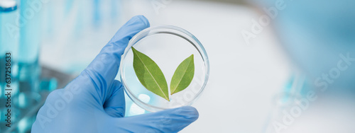 Obraz na plátně eco skin care beauty products in laboratory development concept, Natural drug re