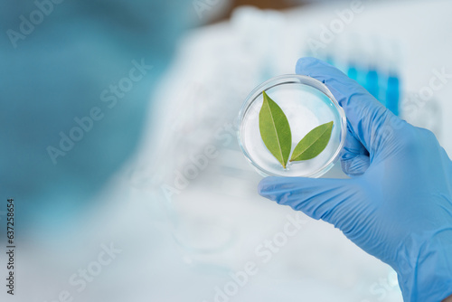 eco skin care beauty products in laboratory development concept, Natural drug research with organic plants and scientific extraction in glassware, Alternative green herb medicine for body health care