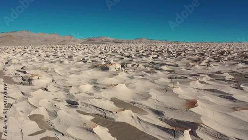 Tulipanes y paisajes en Catamarca, Argentina 