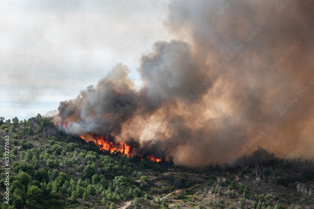 Incêndio florestal com grandes labaredas a queimar o monte com uma enorme nuvem de fumo no ar