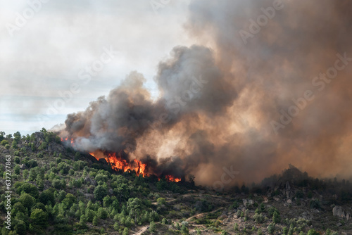 Incêndio florestal com grandes labaredas a queimar o monte com uma enorme nuvem de fumo no ar