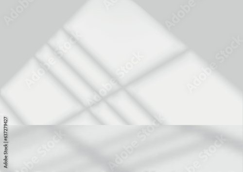 White Room with Shadow from...