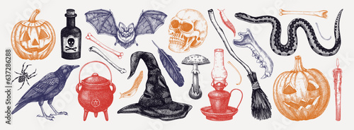 Halloween vector hand-drawn illustrations set. Skull, bones, potions, pumpkin head, poisonous mushrooms, snakes, raven sketches. Halloween design elements. Party invitation, print, banner, flyer