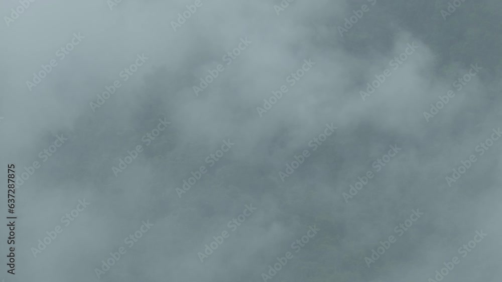 Rain forest in Sout - East Asian. Clouds fog after rain in the evening day is very fresh life befor sleeping to night. Rain forest in Sout - East Asian. Clouds fog after rain in the evening day is very fresh life befor sleeping to night.
