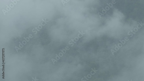 Rain forest in Sout - East Asian. Clouds fog after rain in the evening day is very fresh life befor sleeping to night.