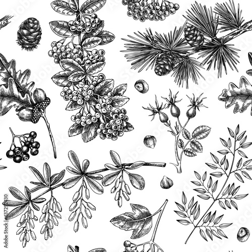 Autumn seamless pattern. Hand drawn vector illustrations. Fall leaves, tree branches and autumn plant sketches. Botanical repeating texture. Fall leaves background. Vintage nature design for print,