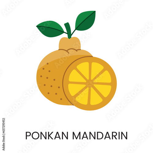Vector illustration of mandarin ponkan, conveying juiciness and vibrant color. Ideal for fresh and lively designs.