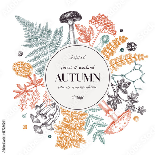 Autumn card or invitation in color. Thanksgiving wreath design. Decorative wreath with realistic  fall leaves, mushrooms, ferns, forest plants sketches. Hand drawn vector illustration