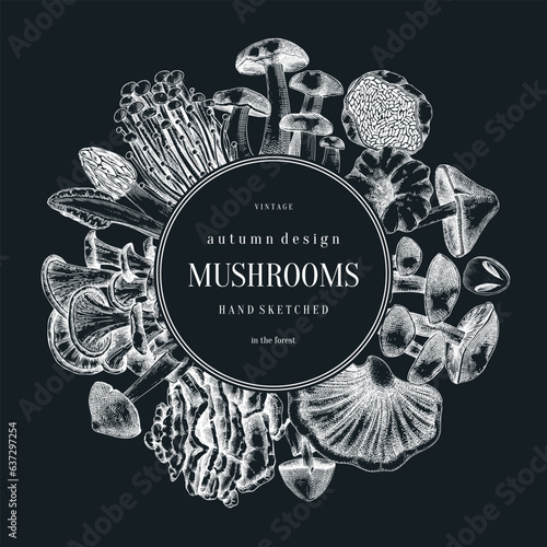 Forest mushrooms wreath on chalkboard. Edible mushrooms frame, vintage card design. Fungi, healthy food, vegan product sketches. Autumn hand-drawn vector illustration. Engraved design template