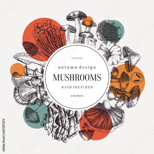 Collage style rorest mushrooms wreath. Edible mushrooms trendy frame design. Fungi, healthy food, vegan product sketches. Autumn background, hand-drawn vector illustration. Engraved design template