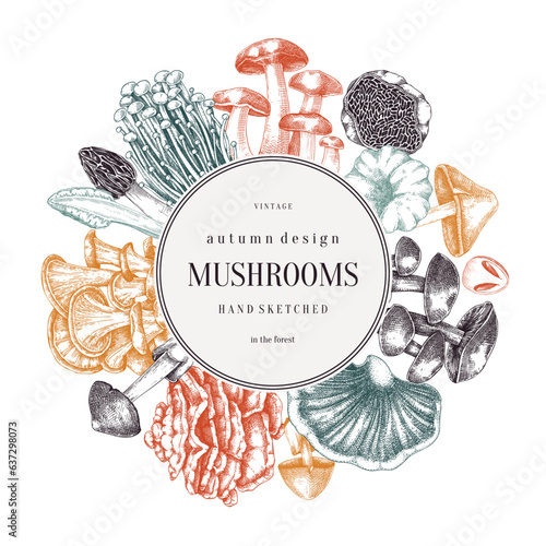 Forest mushrooms wreath in color. Edible mushrooms frame, vintage card design. Fungi, healthy food, vegan product sketches. Autumn background, hand-drawn vector illustration. Engraved design template