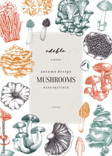 Forest mushrooms background. Edible mushrooms frame, vinatge card design. Fungi, healthy food, vegan product sketches. Autumn hand-drawn vector illustration. Engraved style design template