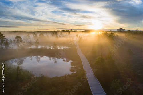 Estonian swamp Viru  at sunrise in summer.  Walking with a dog in nature early in the morning.
