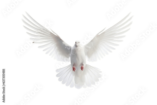 White Dove Isolated on a White Background, Generative Ai © Moostape