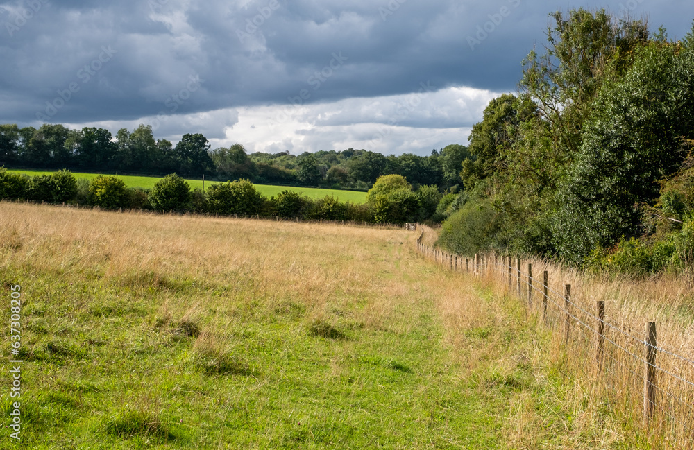 The Chess River Valley between Chorleywood and Sarratt, Hertfordshire, UK. Photographed on a cloudy day in late August.
