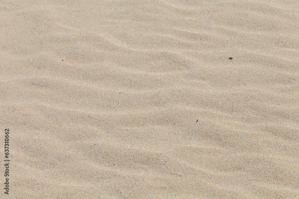 harmonic pattern of sandy beach as natural background harmonic pattern of sandy beach as natural background