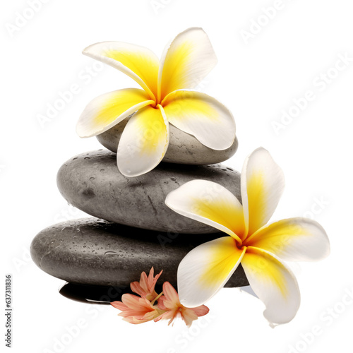 Massage stones and frangipani flowers isolated on transparent background