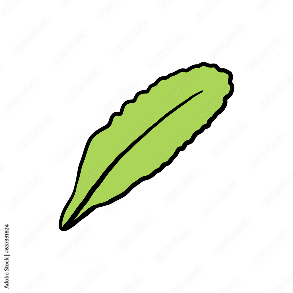 Leaf Leaf