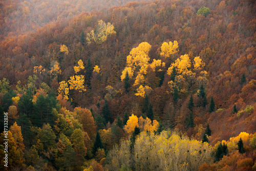 Pyrenees forest in autumn season