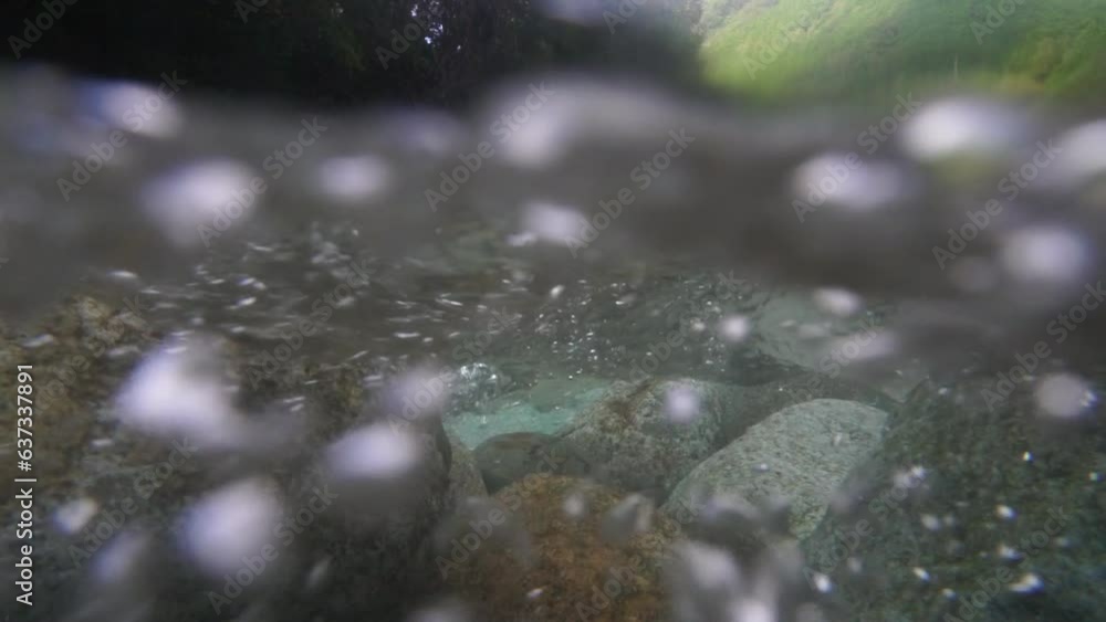 清流の水中と水上の風景　三重県　紀北町　銚子川