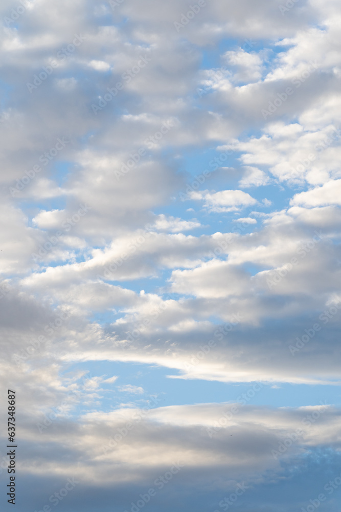 Obraz premium blue cloudy sky sunset vertical