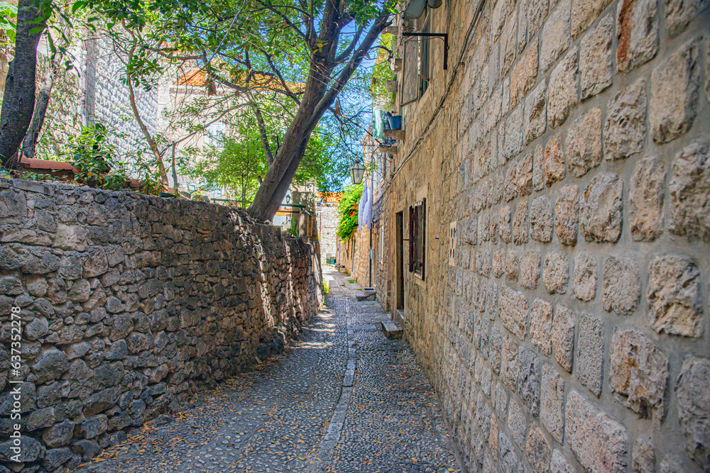 Dubrovnik in adriatic mediterranean sea  in south croatia