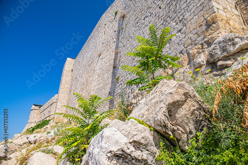 Fototapeta Naklejka Na Ścianę i Meble -  Dubrovnik in adriatic mediterranean sea  in south croatia