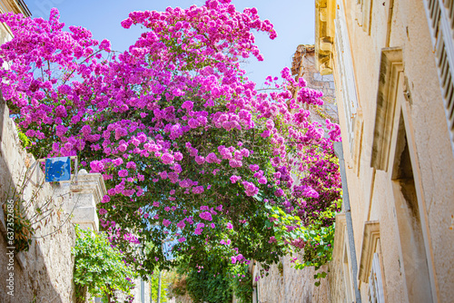 Fototapeta Naklejka Na Ścianę i Meble -  Dubrovnik in adriatic mediterranean sea  in south croatia