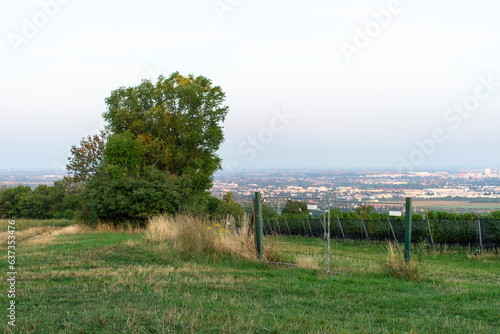 Vienna's Sky View: Floridsdorfer Panorama Observation Deck. photo