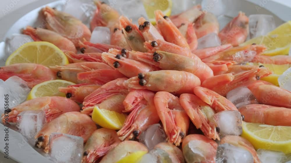 Shrimps. Fresh raw prawns background rotating. Seafood on ice cubes with lemon and herbs. Preparing healthy food. Food serving. Cooking, diet, nutrition concept. Seafood background slow motion closeup Shrimps. Fresh raw prawns background rotating. Seafood on ice cubes with lemon and herbs. Preparing healthy food. Food serving. Cooking, diet, nutrition concept. Seafood background slow motion closeup
