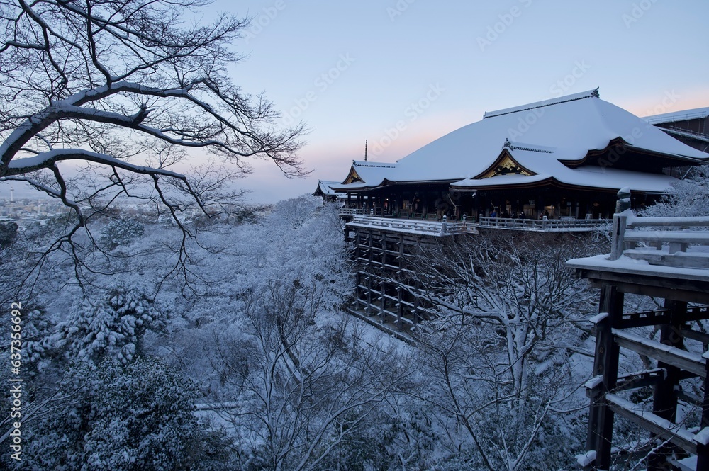 Fototapeta premium japanese temple in the snow